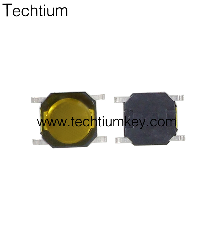 7501(1368).jpg